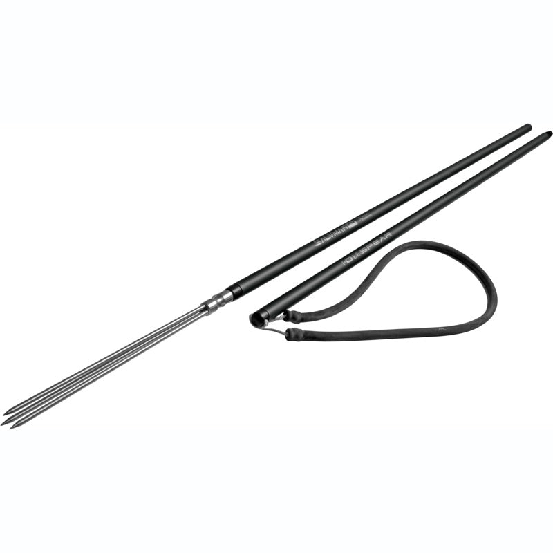The Best Pole Spear for Spearfishing